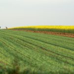 Przytulny pokój na wynajem z widokiem na Gorce – relaks w stylu slow life.
