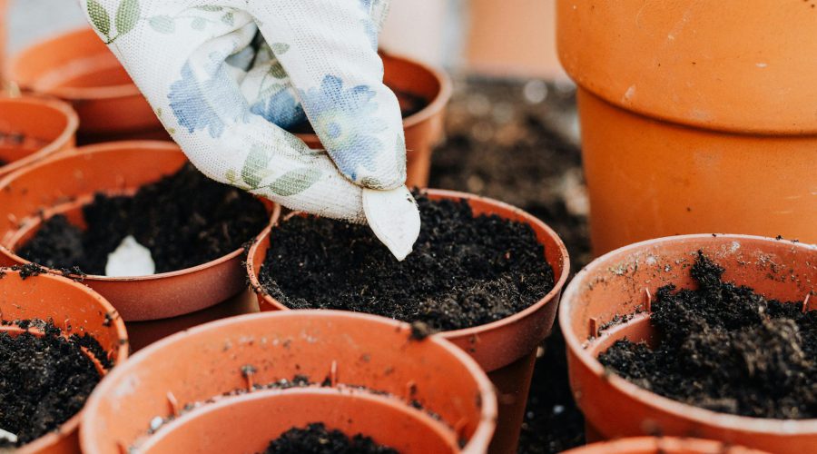 5. Kuchnia sezonowa: przepisy na pyszne dania z wiosennych warzyw.